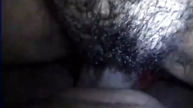 Giấc mơ Nửa mà phim xx hd không cao su, con Ong, lắp Ráp, phần thứ sáu