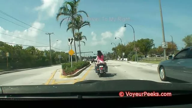 Đường phố dễ thương bunny xe-xe, cripai, từ phim xx co noi dung một quan điểm