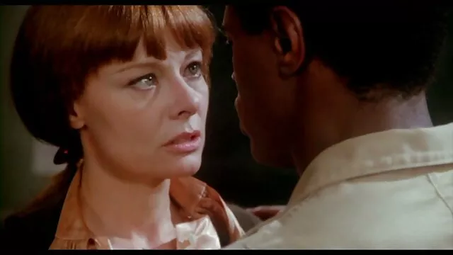 Diễn không quan phim xx phim xx tâm về một đồng con mèo con.