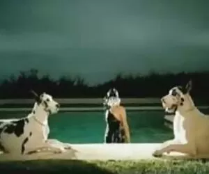 Đó là 1: 30. Bạn phim xx phu de có biết nơi vợ của bạn là gì? # 23