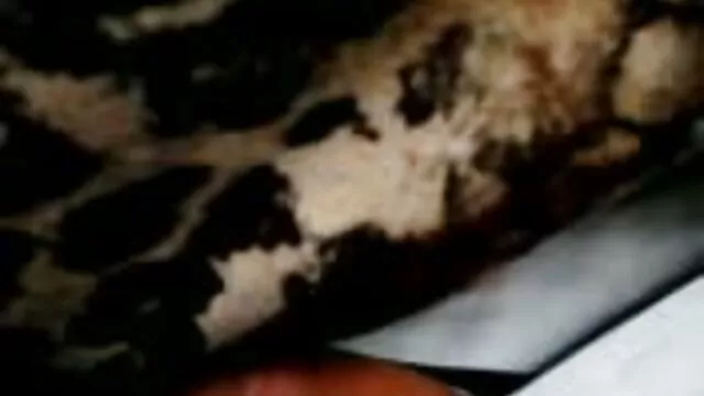 Bạn gái ngồi trên quần phim hot xx